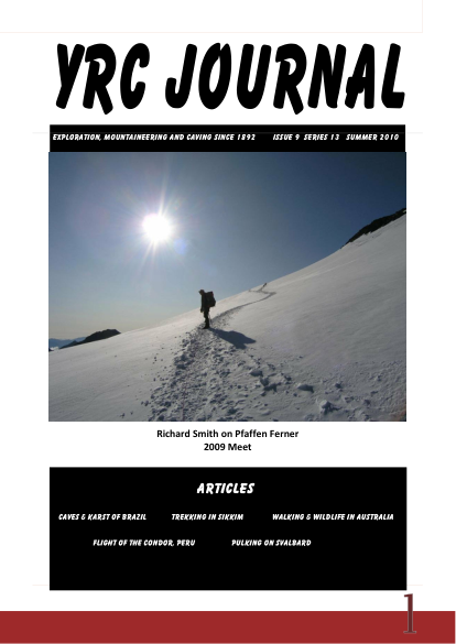 YRCJ 2010; 13(9) cover